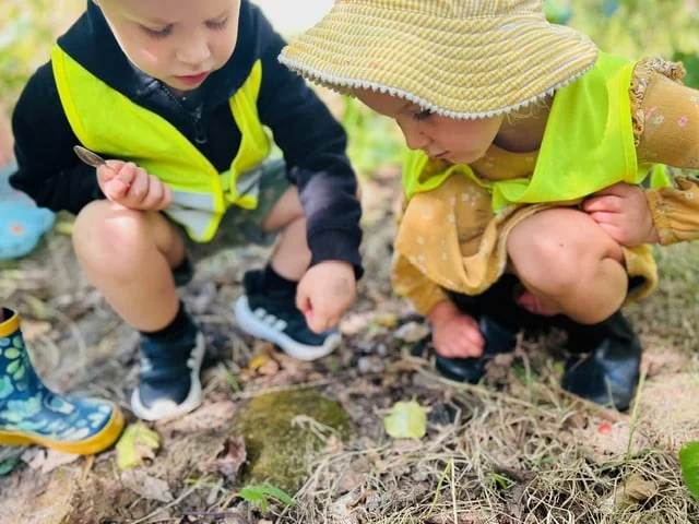 Children investigating plants and natural materials during outdoor learning