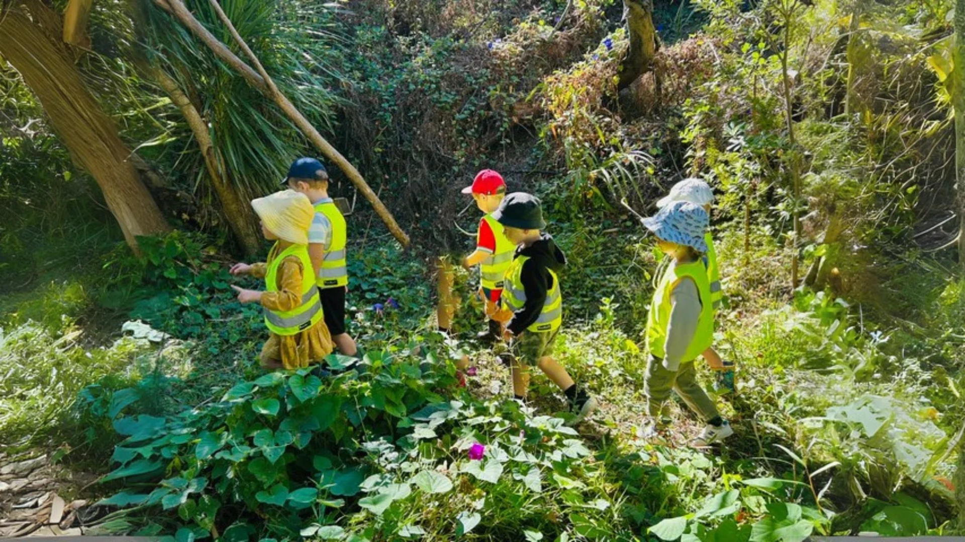 Children exploring native bush during a Forest School experience at Haven Early Learning